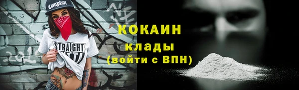 хмурый Абаза