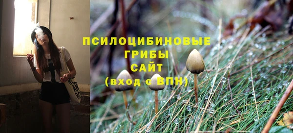 хмурый Абаза
