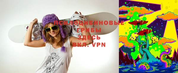 дмт Нея