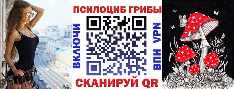 Галлюциногенные грибы Cubensis Щучье